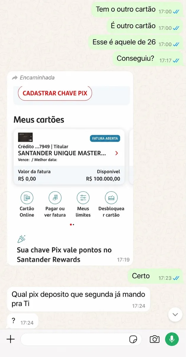 Print do aplicativo do banco: cartão com R$ 100.000,00 de limite disponível.